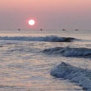 Meet your Posher, Dawn